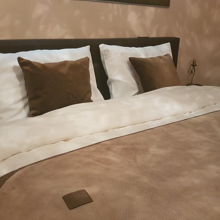 Classic Apartment براشوف المظهر الخارجي الصورة