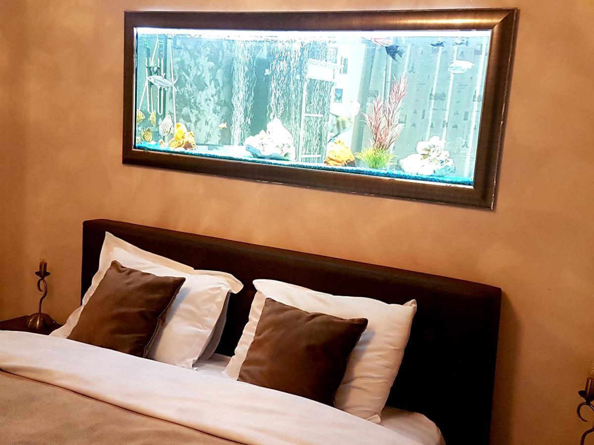 Classic Apartment براشوف المظهر الخارجي الصورة