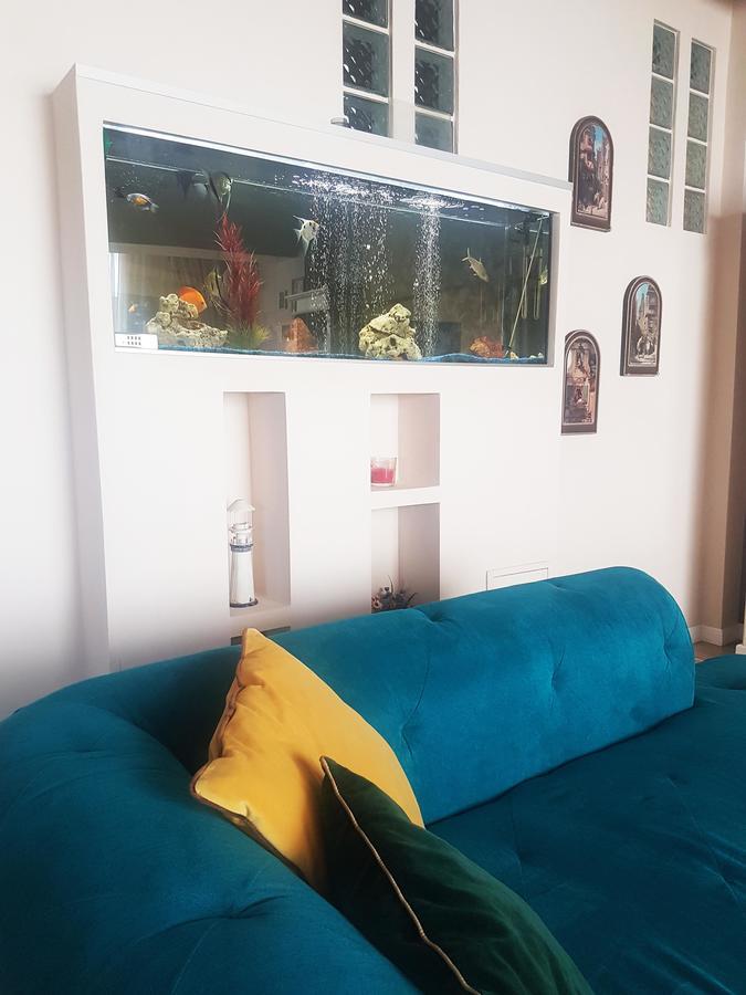 Classic Apartment براشوف المظهر الخارجي الصورة
